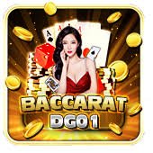 555win
